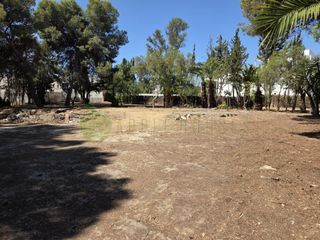 Terreny residencial a Carrer del Doctor Bartomeu Robert