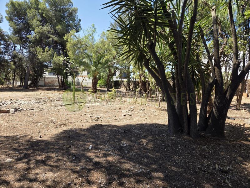 Foto 5b1c7f19-b510-435a-b4bf-6e6afc00b736. Terreny residencial a Can Girona - Terramar - Vinyet Sitges