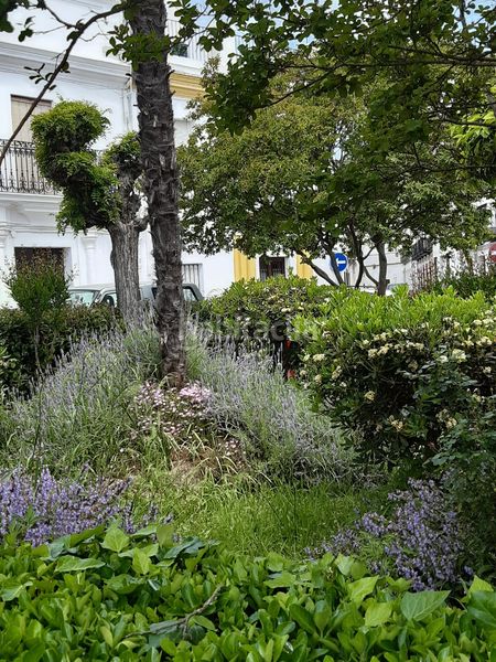 Foto 90251a13-1bf8-4f99-9a55-d722a73a8421. Edifici a barrio el cortinal 18 a Constantina