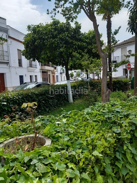 Foto bf369535-a63e-4ecb-b4e5-d1862da10ac8. Edifici a barrio el cortinal 18 a Constantina