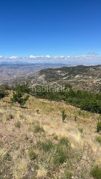 Foto 33709d93-69bf-4268-b60d-0aa84e9dcb44. Finca rústica magnífica finca frutal ubicada en valle de lecrín (granada) en Nigüelas