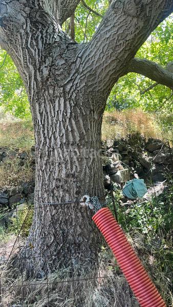 Foto 4aac1c05-1da1-4063-92c0-47699acabb52. Finca rústica magnífica finca frutal ubicada en valle de lecrín (granada) en Nigüelas