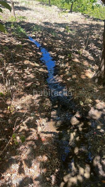 Foto deacdf36-7be5-4c7f-b5b3-5bfade6559c6. Finca rústica magnífica finca frutal ubicada en valle de lecrín (granada) en Nigüelas