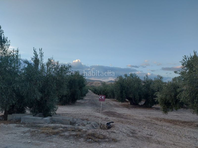 Foto a554c925-0b06-4ba0-8922-cfd1c2435af3. Finca rústica a Alicún de Ortega