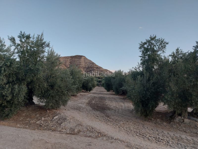 Foto f4a0bf75-9538-4223-81d1-a4aa846bc99a. Finca rústica a Alicún de Ortega
