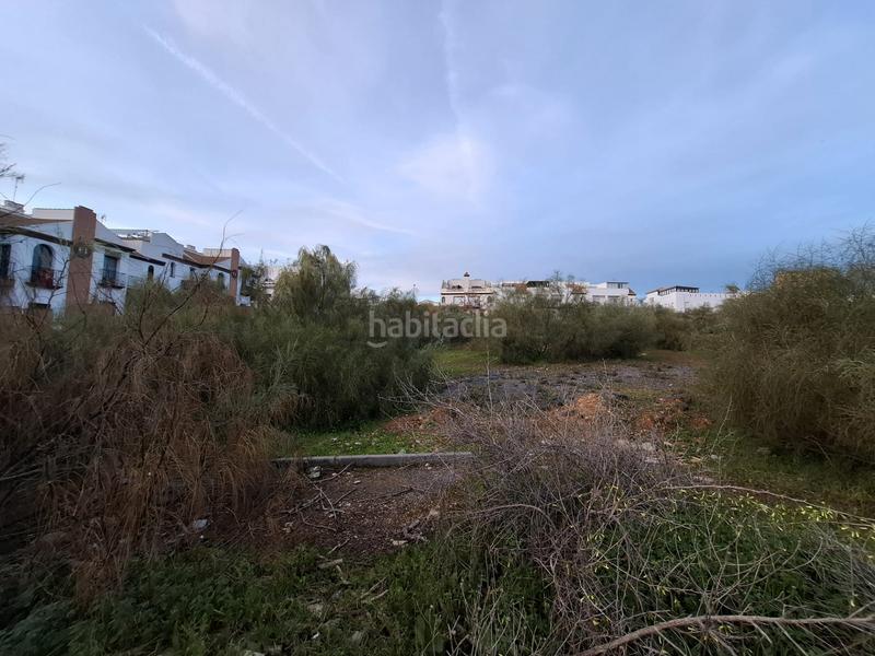 Foto 2d1290a4-1bfb-40a5-bbee-56e7ffc0413a. Terreno residenziale in cornicabra 4 in Ayamonte ciudad Ayamonte