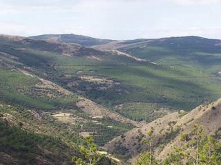 Finca rústica a Senés. Urge vender coto de caza