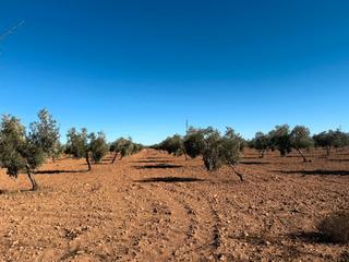 Finca rústica  N/a. Gran oportunidad