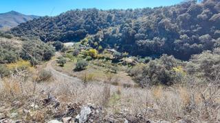 Propriété  Calle era