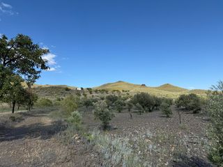 Masia  Calle almeria. Se vende finca con cortijo en el campo de sen�s