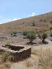 Fondo rustico  Calle almeria. Se vende terreno de 24.000 m2