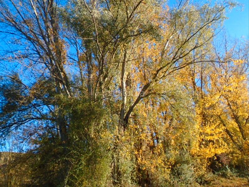 Foto 0e2f5f9b-75ae-43cd-b5de-e8ced27f6620. Finca rústica a Albelda de Iregua