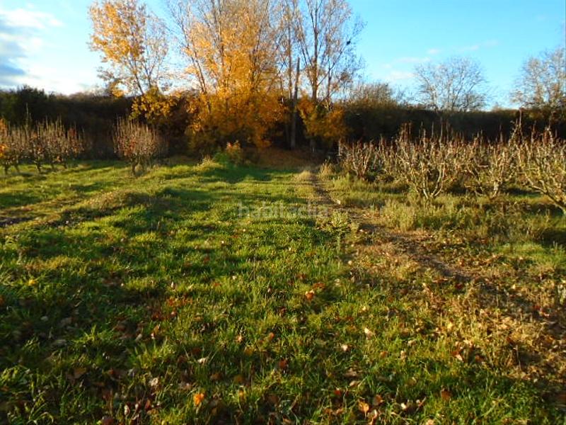 Foto 3b643e6f-1aaf-450c-8598-b96f11f0cf77. Finca rústica a Albelda de Iregua