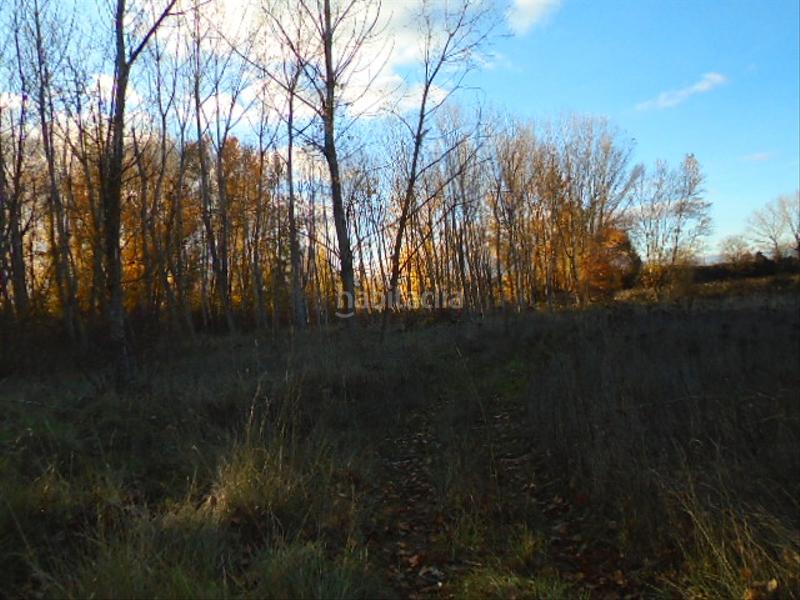 Foto 3f78d970-9dec-4d57-acda-144145aa1c6d. Finca rústica a Albelda de Iregua