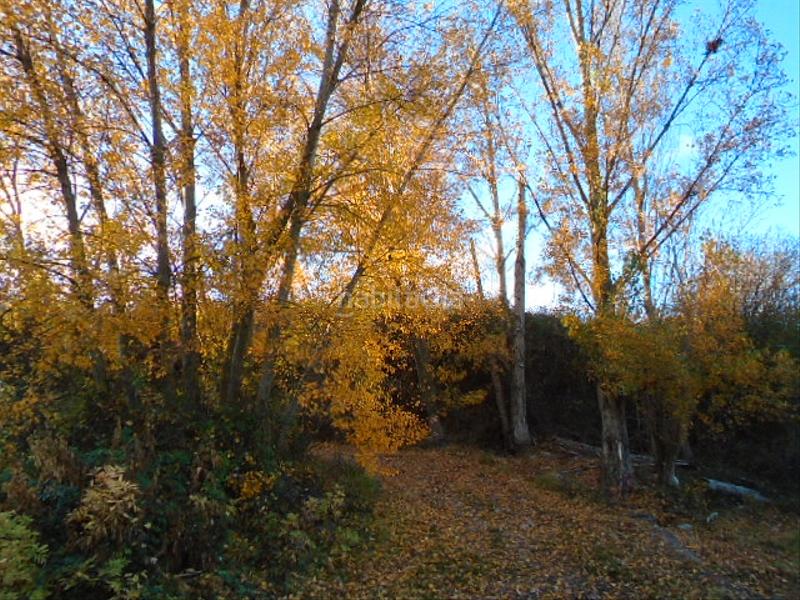 Foto 43496647-07b8-4c84-98e5-f76342296061. Finca rústica a Albelda de Iregua