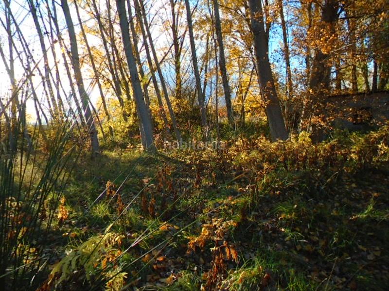 Foto 52f6b18c-17fc-4310-a2f5-e23936ad7745. Finca rústica a Albelda de Iregua