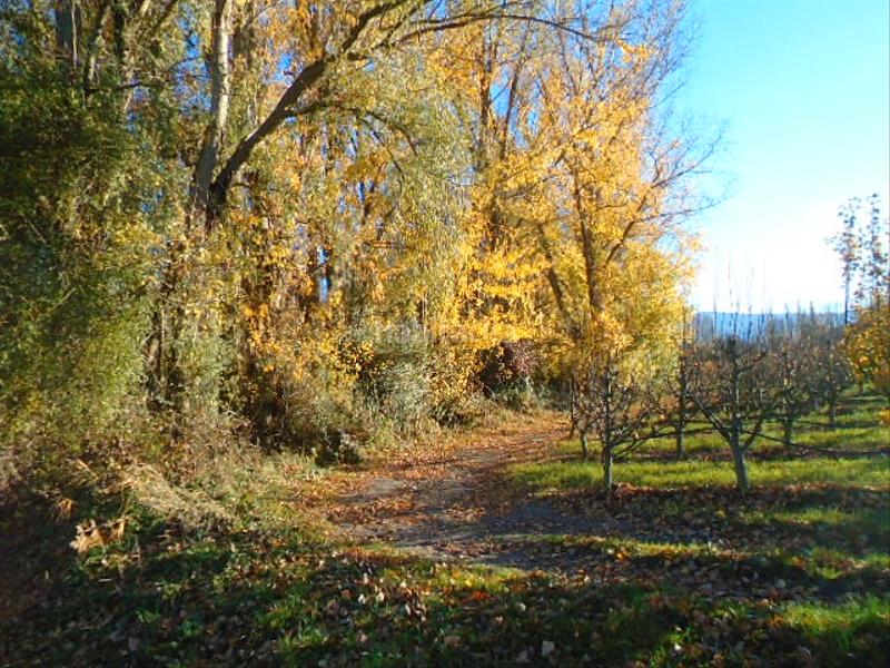 Foto 8cb9262d-ada6-432e-a630-4c2f57132ad2. Finca rústica a Albelda de Iregua