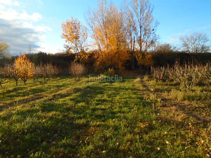 Foto 9b701b87-c5e4-46cf-b667-28ddb2efca5e. Finca rústica a Albelda de Iregua