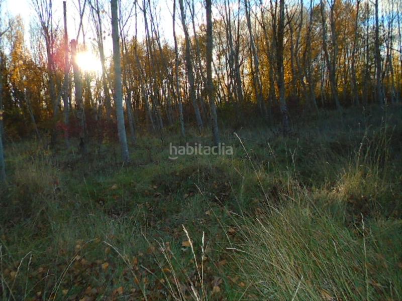 Foto 19f70769-0933-4b84-b4b1-187d728b0433. Finca rústica en Albelda de Iregua