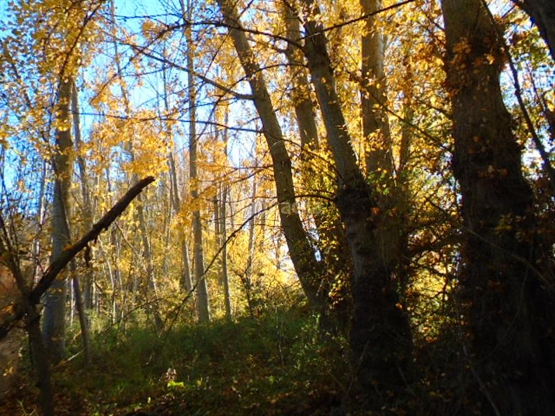 Foto 549bf083-5144-4d0c-b801-390e69e809f9. Finca rústica en Albelda de Iregua