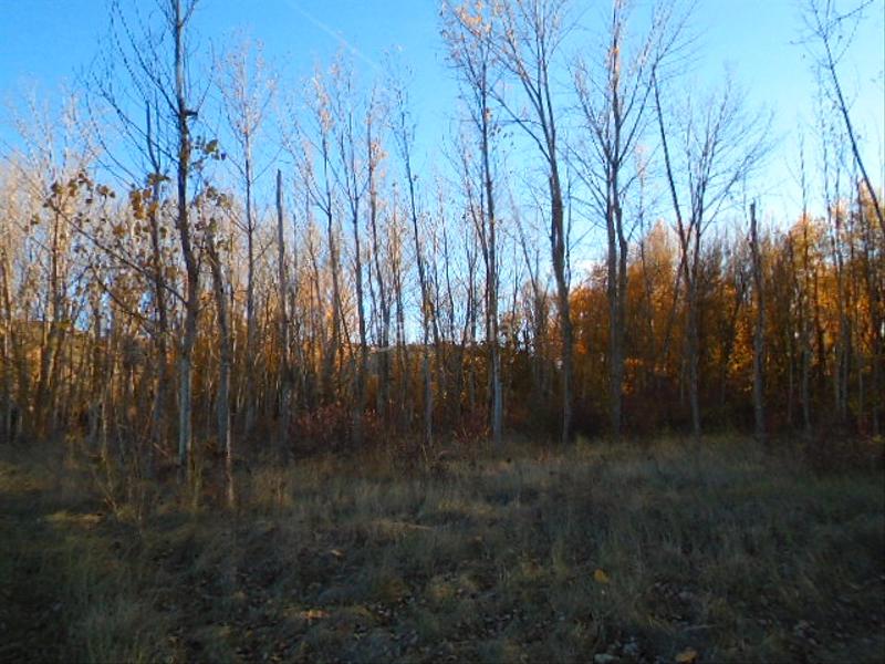 Foto e44751ee-f3b7-4412-9059-34d41e02d46b. Finca rústica en Albelda de Iregua