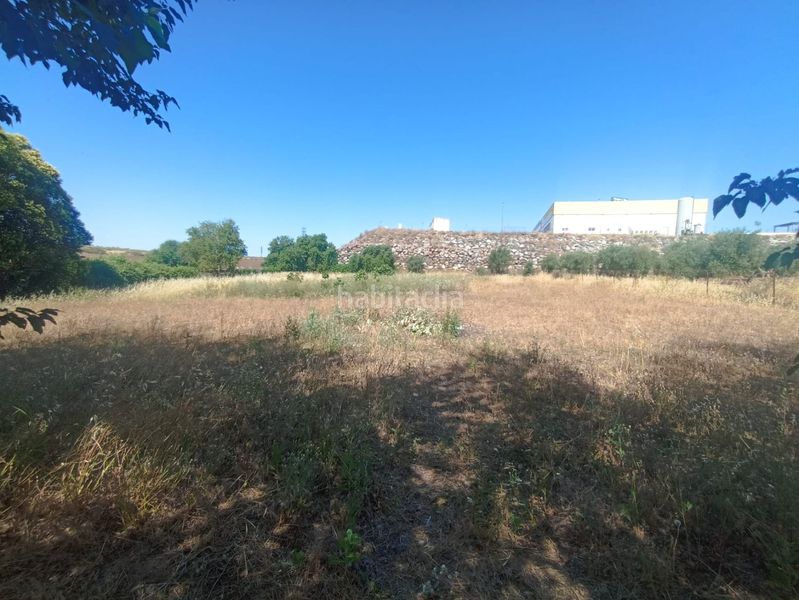 Foto 436a70bf-891d-41a0-8ae1-05c315094082. Masia a Norte Mérida