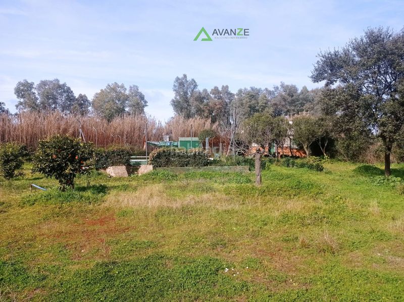 Foto b3e879d1-6717-48f5-a153-456359bcf179. Masia a Aljucén