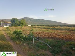 Mas à Macillaso. Finca rúst. en venta en extraradio, 3 dormitorios.