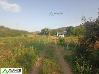 Masia en Macillaso. Finca rst. en venta en mrida, 3 dormitorios.