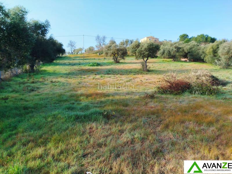 Foto 6dd43130-4fce-488d-b672-6fc9ffc508c9. Mas dans Sur Mérida