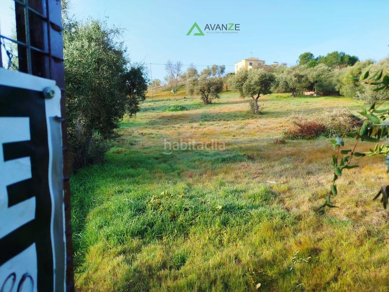 Foto 6df3a181-0e3a-44ac-a913-68aa985eb904. Mas dans Sur Mérida