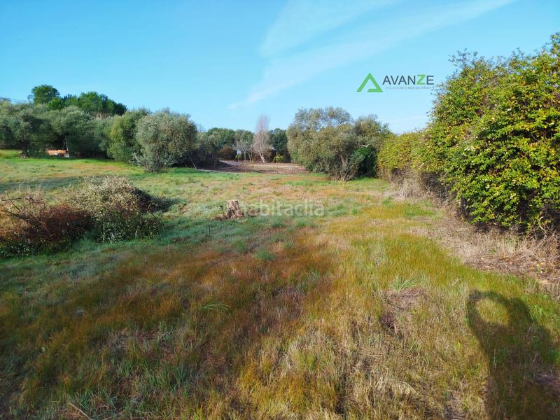 Foto eccd2d81-fd14-4c1c-b4e2-931f5a93731c. Mas dans Sur Mérida