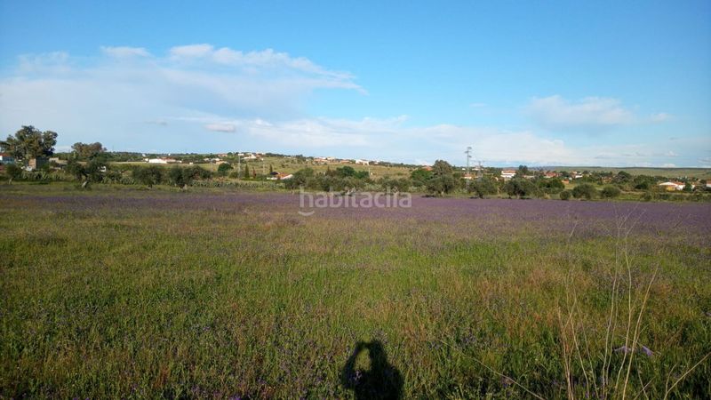 Foto 1da5ea56-c04b-419c-9954-56c5acb40424. Mas dans Sur Mérida