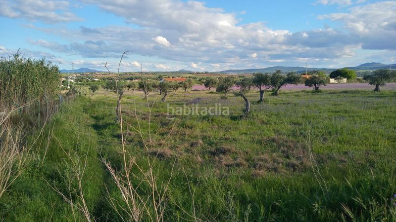 Foto ae840c6e-eb7e-4b71-97ea-b046926fc4df. Mas dans Sur Mérida