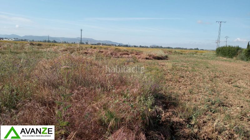 Foto caecb55c-891d-4817-85e4-9b9df6c4238d. Masia a Valverde de Mérida