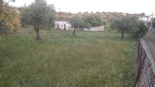 Mas à Oeste. Finca rúst. en venta en polígonos - carrión.