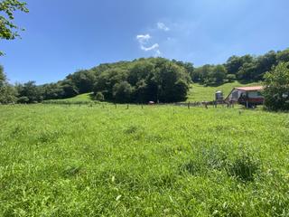 Terreny residencial a Cangas de Onís. Venta de finca en llenin