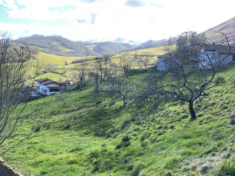 Foto ebf17aa6-9b61-4533-b80f-e30e9a5fe57c. Wohngrundstück in Cangas de Onís