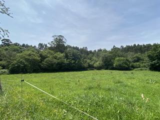 Terreny residencial a Ribadesella. Venta de finca ubicada a 7 km de la playa de vega