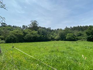 Terreny residencial a Ribadesella. Venta de finca a 4 km de la playa de santa marina
