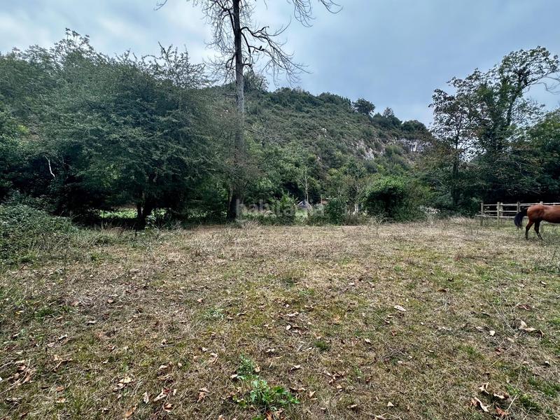 Foto 1a4fb5d1-c876-4fe2-8ac0-6e17667cef36. Residential plot in Cangas de Onís