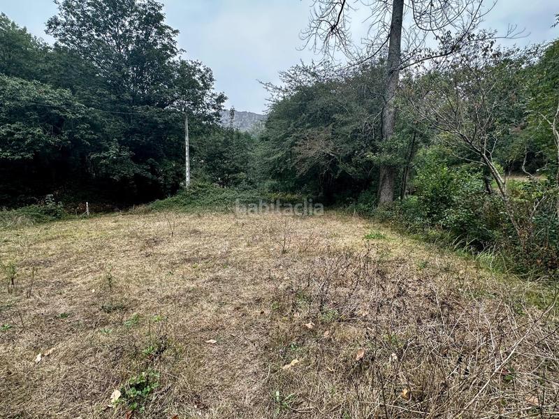 Foto 2c6bd041-faeb-4ee6-ae5b-d7208533d9f8. Residential plot in Cangas de Onís