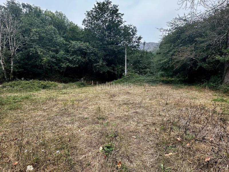 Foto 38ea0a32-52f8-4ed3-9a21-41ee493a3326. Residential plot in Cangas de Onís