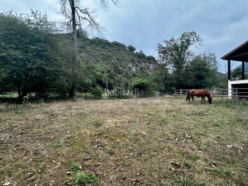 Foto 390ef721-2205-4e83-a332-357e012fc205. Residential plot in Cangas de Onís