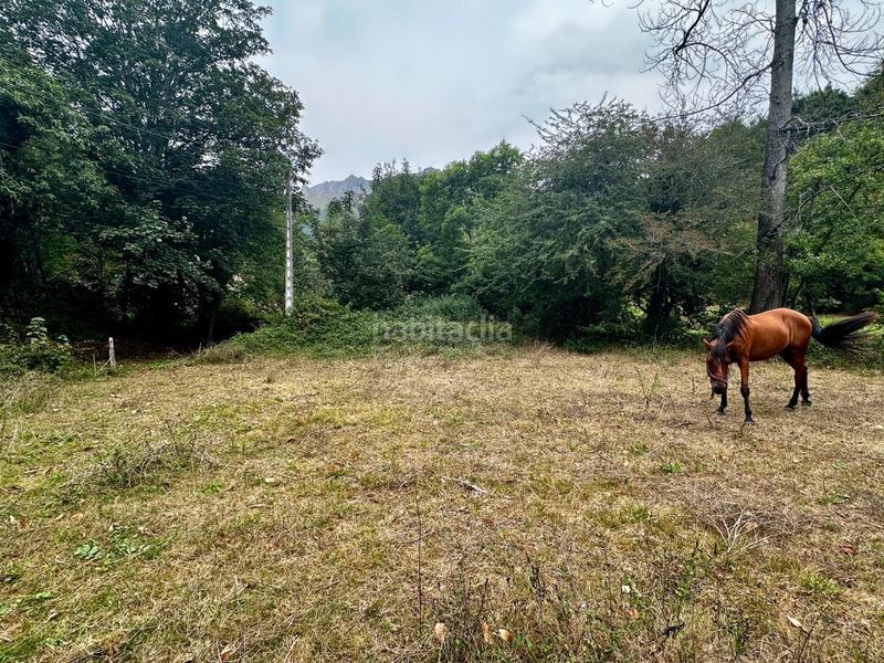Foto 4d357f26-e8cb-4d86-8755-5ad55435e42f. Residential plot in Cangas de Onís