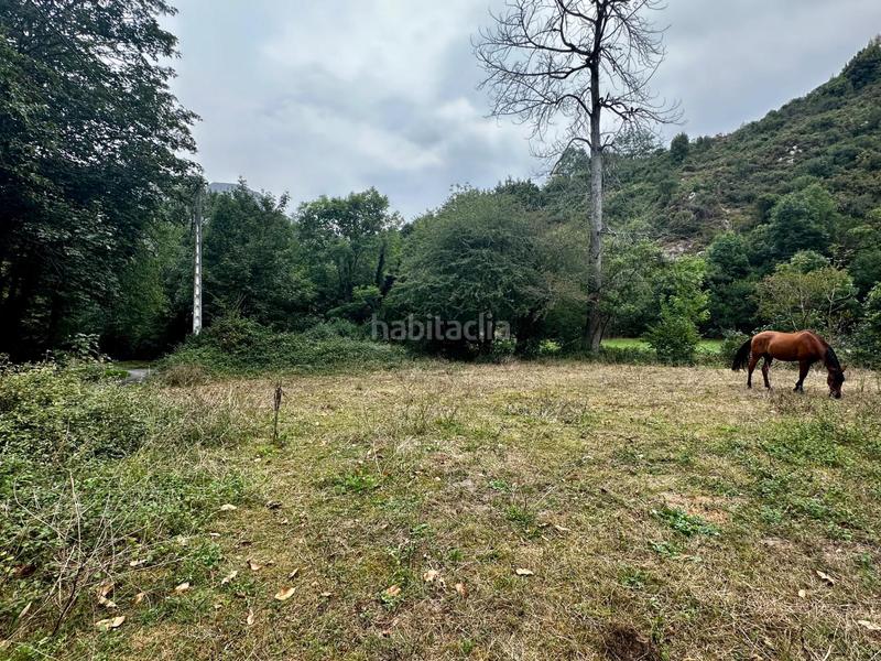 Foto 7514c97b-0a35-4afd-85b8-1ee92a63190b. Residential plot in Cangas de Onís