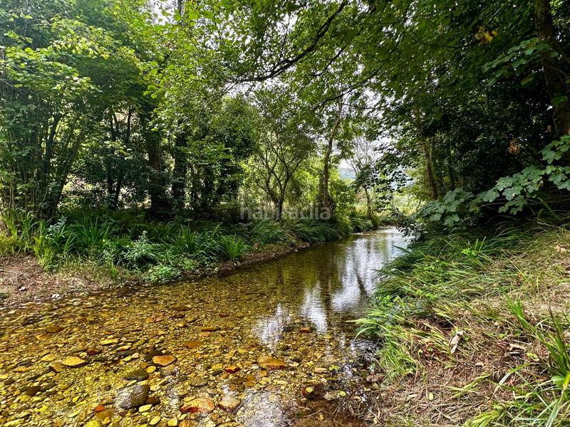 Foto b60a467c-ded3-44f5-b9ce-f30d11bd22e0. Residential plot in Cangas de Onís