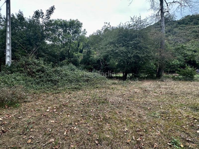 Foto b81b613f-2477-4bbe-aabb-bf0eb706e676. Residential plot in Cangas de Onís