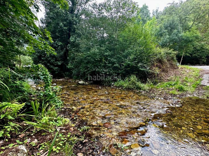 Foto e1415e70-b390-48e3-99c7-a833e6e1d932. Residential plot in Cangas de Onís