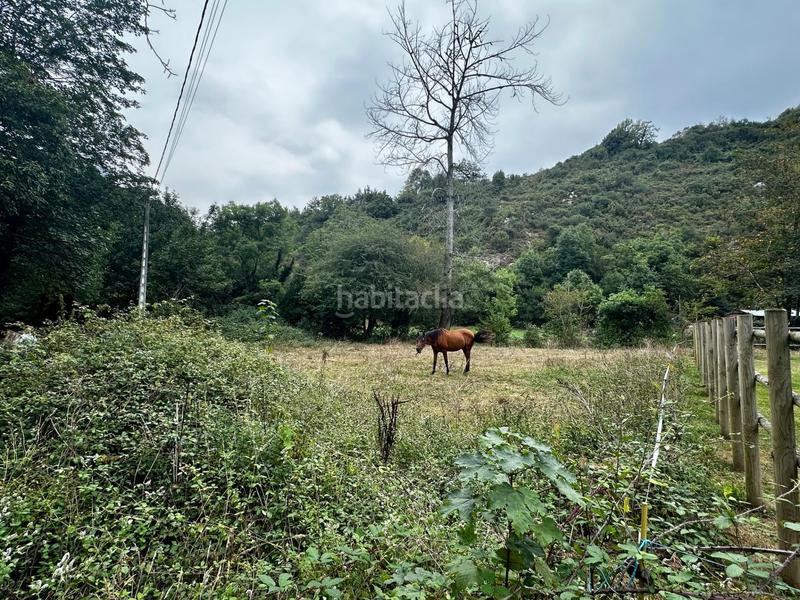 Foto ea10addb-c382-4e00-b89b-2dd1a4045396. Residential plot in Cangas de Onís